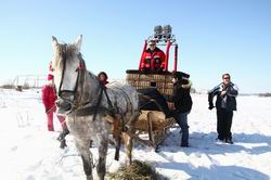 «Лютневі Пригоди '2011»